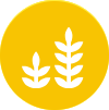 A yellow circle with two white stylized wheat stalks, one taller than the other, positioned side by side in the center—perfect for representing crane audits and agricultural inspections.